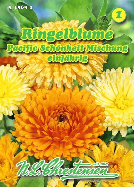 Ringelblume Pacific Schönheit Mischung