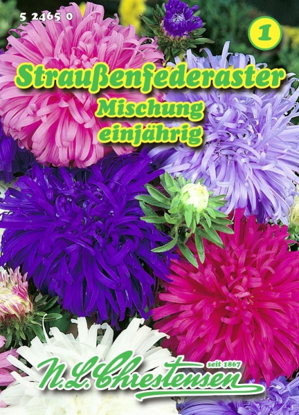 Straußenfederaster Mischung MHD 01/26