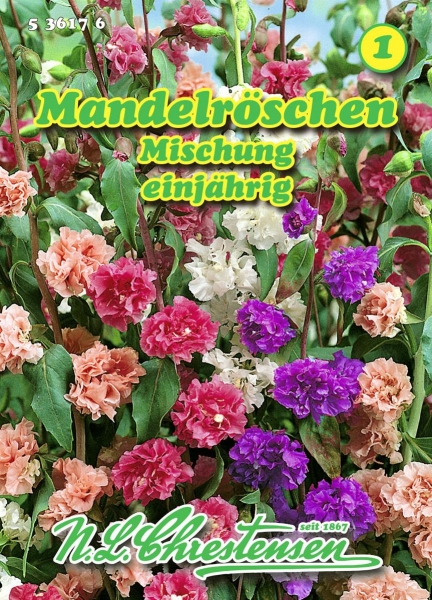 Mandelröschen Mischung