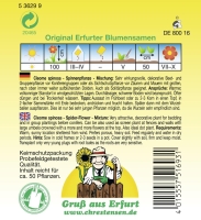 Spinnenpflanze Mischung MHD 01/26