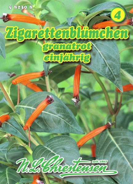 Zigarettenblümchen MHD 01/26