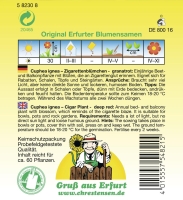 Zigarettenblümchen MHD 01/26