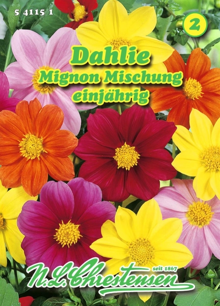 Dahlie Mignon Mischung MHD 01/25