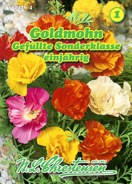 Goldmohn Gefüllte Sonderklasse