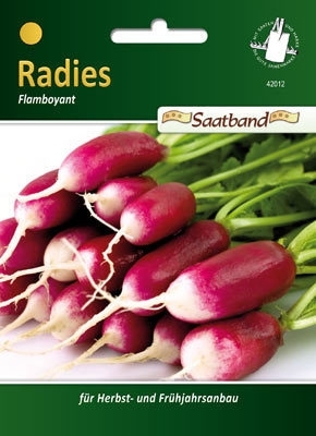 Radies Flamboyant 2m Band MHD 01/26