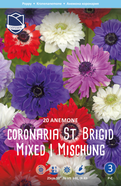 Anemone Coronaria St. Brigid Mischung 20 Stück