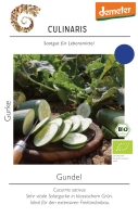 Bio-Salatgurke Gundel