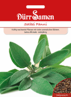 Salbei Fanni MHD 12/25