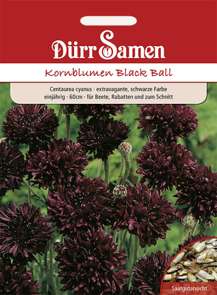 Kornblume Black Ball MHD 12/24