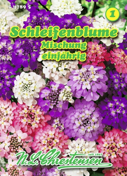 Schleifenblume Mischung MHD 01/26