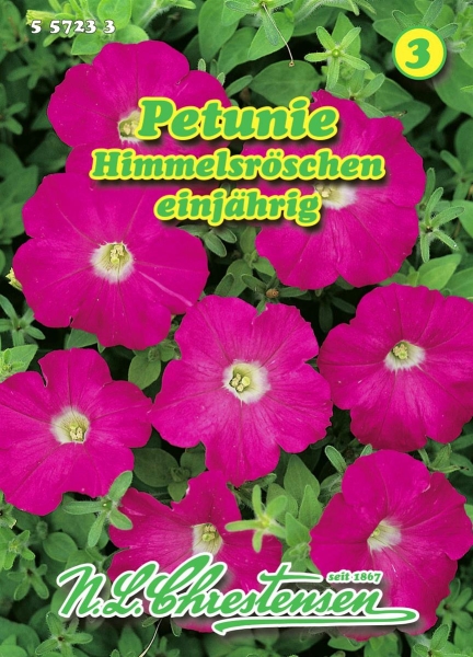 Petunie Himmelsröschen MHD 1/2026