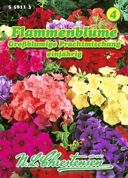 Flammenblume Großblumige Prachtmischung