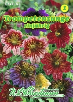 Trompetenzunge Superbissima, einjährig MHD 01/26