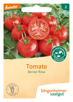 Bio-Tomate Berner Rose