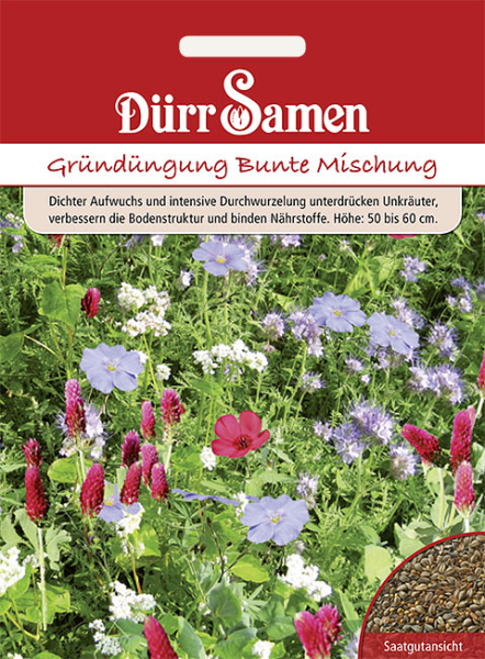 Gründünger Bunte Mischung 500g 100m²