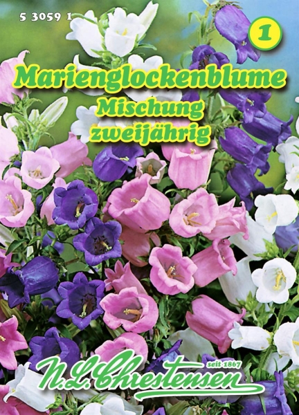 Marienglockenblume Mischung