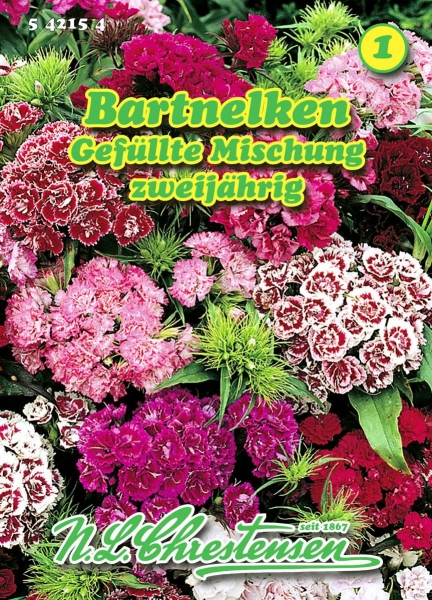 Bartnelke Gefüllte Mischung