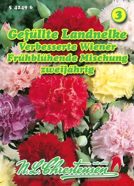Landnelke Verbesserte Wiener Frühblühende
