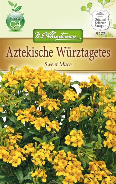 Aztekische Würztagetes MHD 01/25