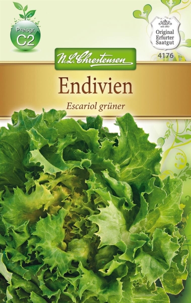 Endivien Escariol grüner MHD 01/25