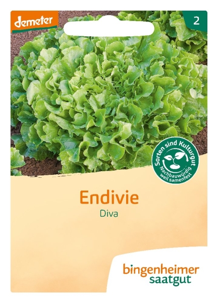 Bio-Endivie Diva