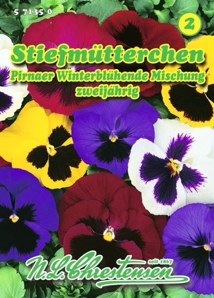 Stiefmütterchen Pirnaer Winterblühende Mischung