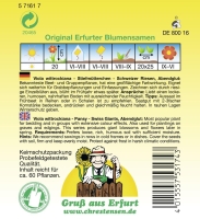 Stiefmütterchen Schweizer Riesen Abendglut MHD 01/26