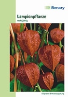 Lampionpflanze