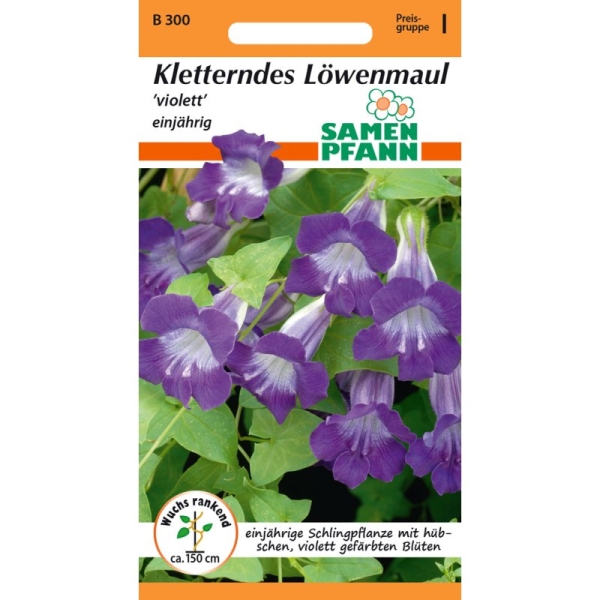 Kletterndes Löwenmaul MHD 01/26