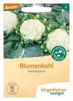Bio-Blumenkohl Neckarperle