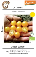 Bio-Wildtomate Golden Currant