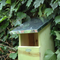 Nistkasten Rotschwänzchen