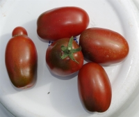 Bio-Saucentomate Black Plum MHD 06/25