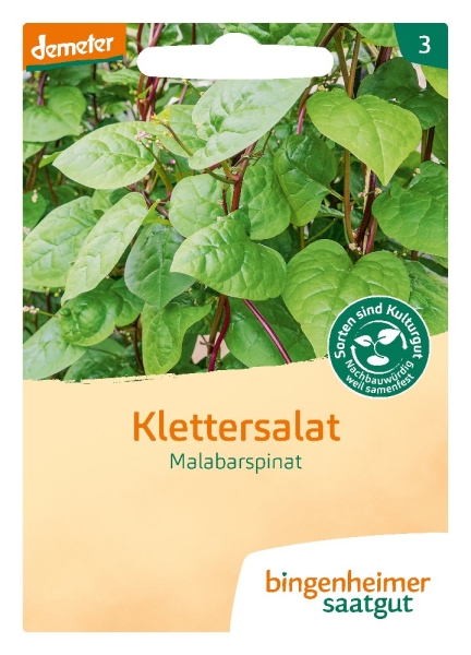 Bio-Klettersalat Malabarspinat