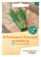 Bio-Schnittlauch Gonzales