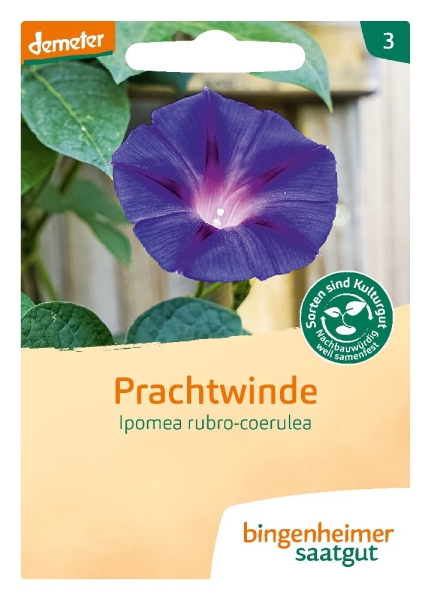 Bio-Prachtwinde