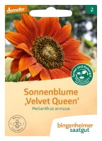 Bio-Sonnenblume Velvet Queen 150cm