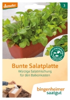 Bio-Bunte Salatplatte