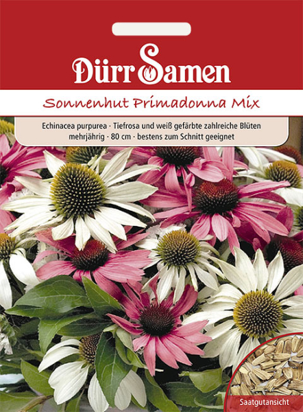 Echinacea Primadonna Mix