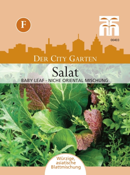 Salat Baby Leaf MHD 12/24