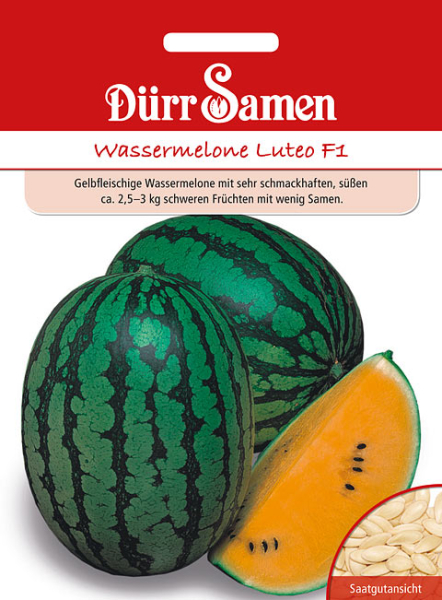 Wassermelone gelbfleischig