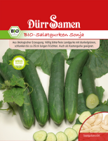 Bio-Salatgurke Sonja