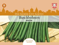 Buschbohne Boston