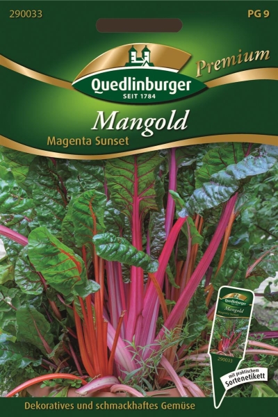 Mangold Magenta Sunset MHD 01/25