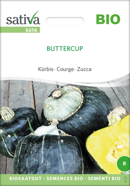 Bio Kürbis Buttercup