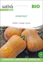 Bio Kürbis Honeynut