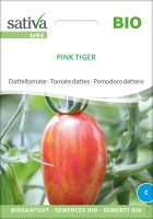 Bio-Datteltomate Pink Tiger