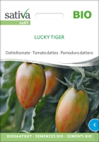 Bio-Datteltomate Lucky Tiger