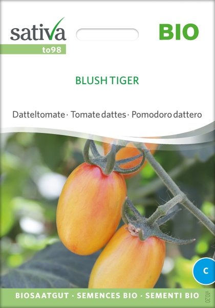 Bio Datteltomate Blush Tiger