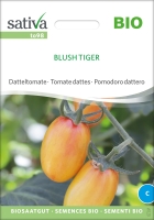 Bio Datteltomate Blush Tiger